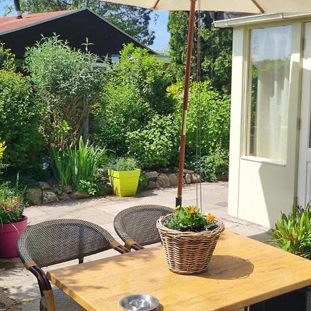 Villa Zonnig Zuid Dirkshorn Esterno foto